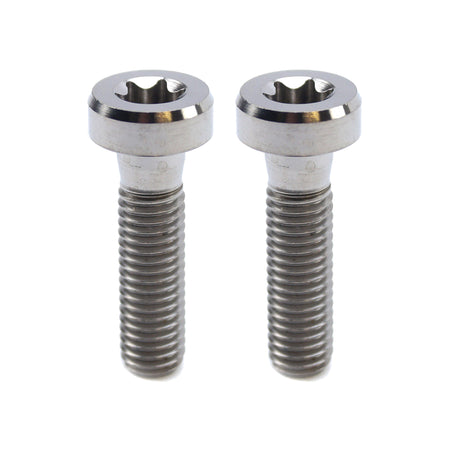 Torx Head Bolts