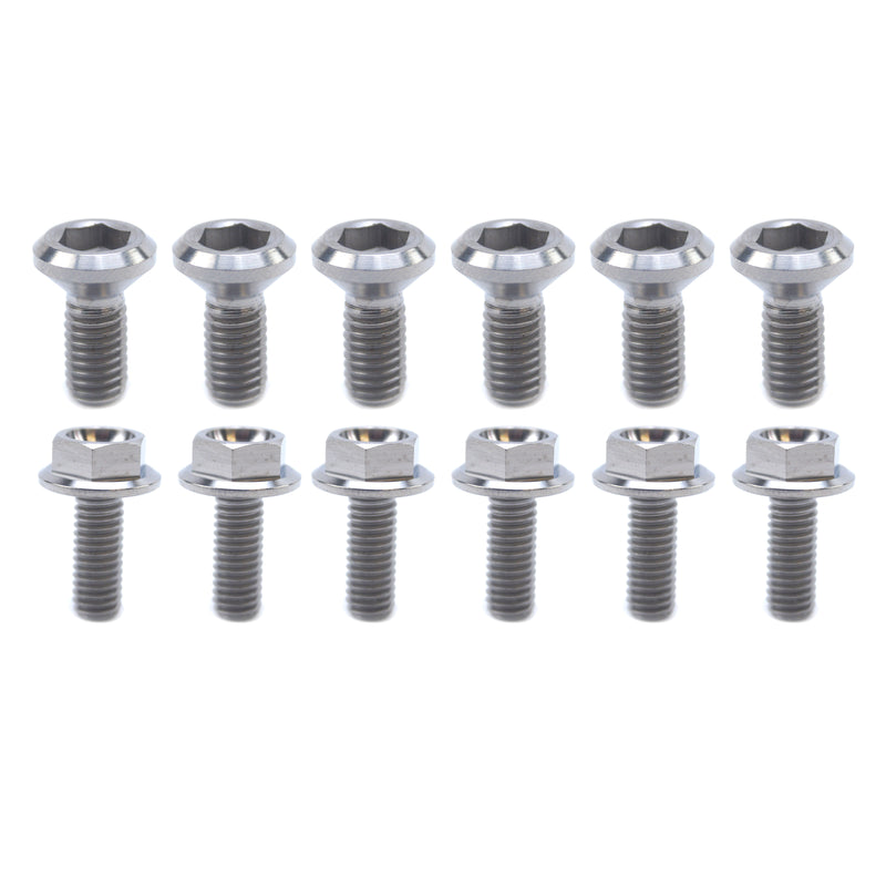 Disc Bolt Set - (Pack of 12)