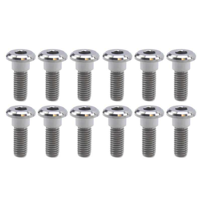 Disc Bolt Set - (Pack of 12)