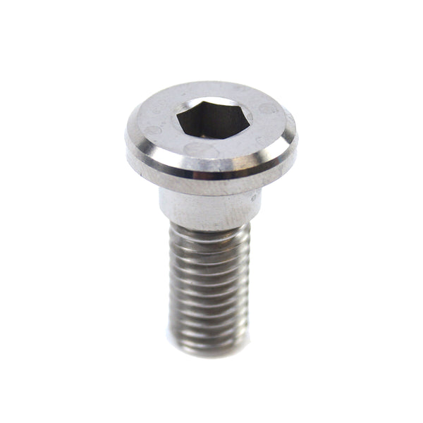 Disc Bolt - M8x22mm