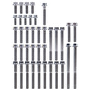 Titanium Engine Bolt Kit GasGas ECF 250 350 2024 51 Bolts