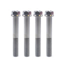 Dual Drive Bolts - M8x55mm (Pack of 4)