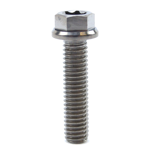 Dual Drive Bolts - M6x25mm (Std Flange)